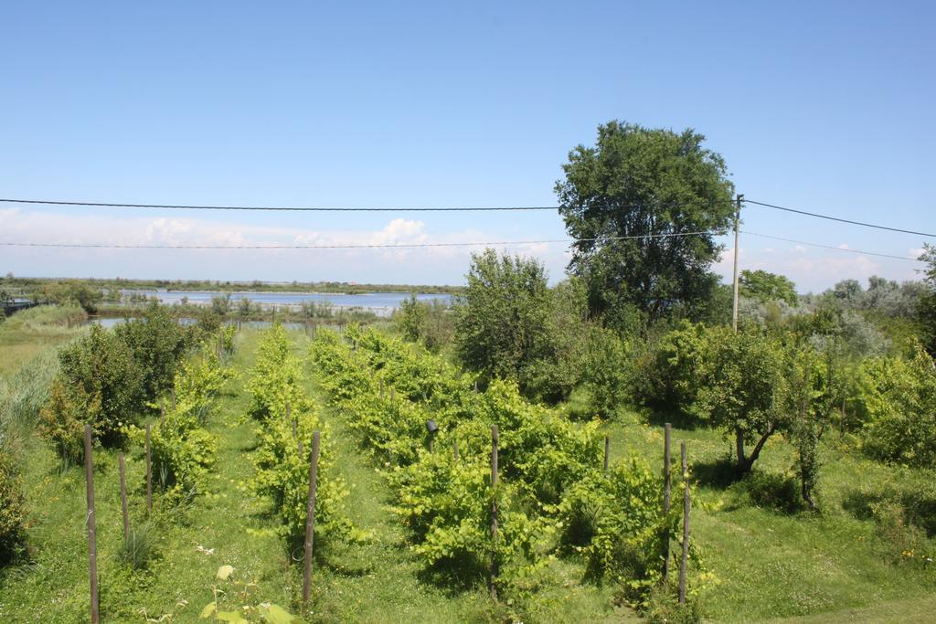 Tenuta Lio Maggiore Lido di Jesolo Dış mekan fotoğraf