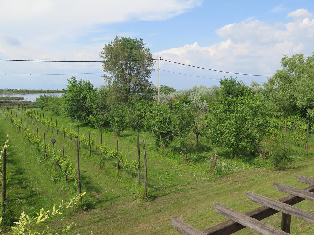 Tenuta Lio Maggiore Lido di Jesolo Dış mekan fotoğraf